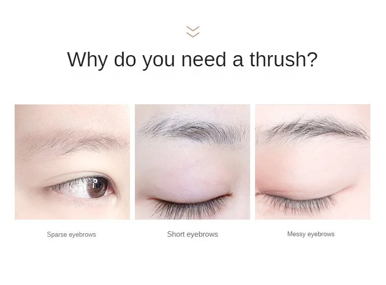 2-in-1 Waterproof Eyebrow Pencil & Brush