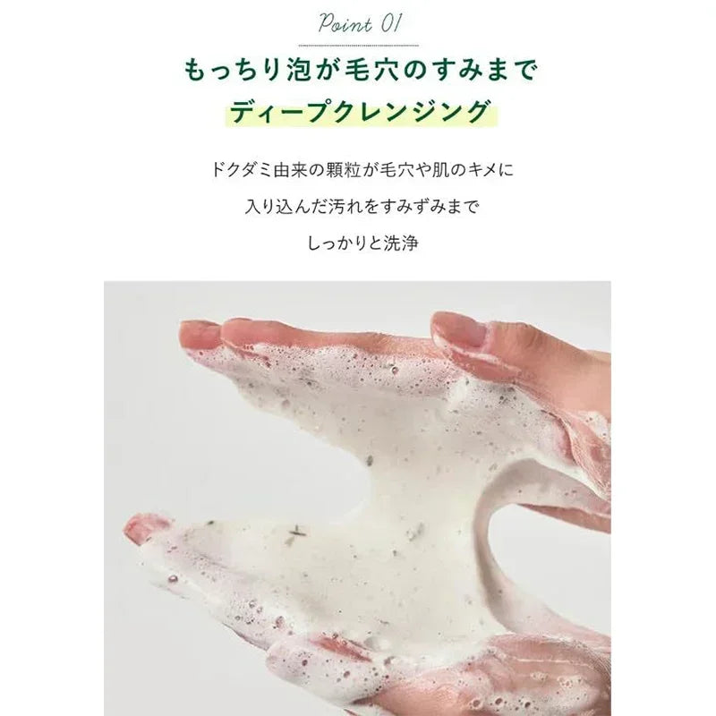 Korean Heartleaf Anti-Aging Skincare Set